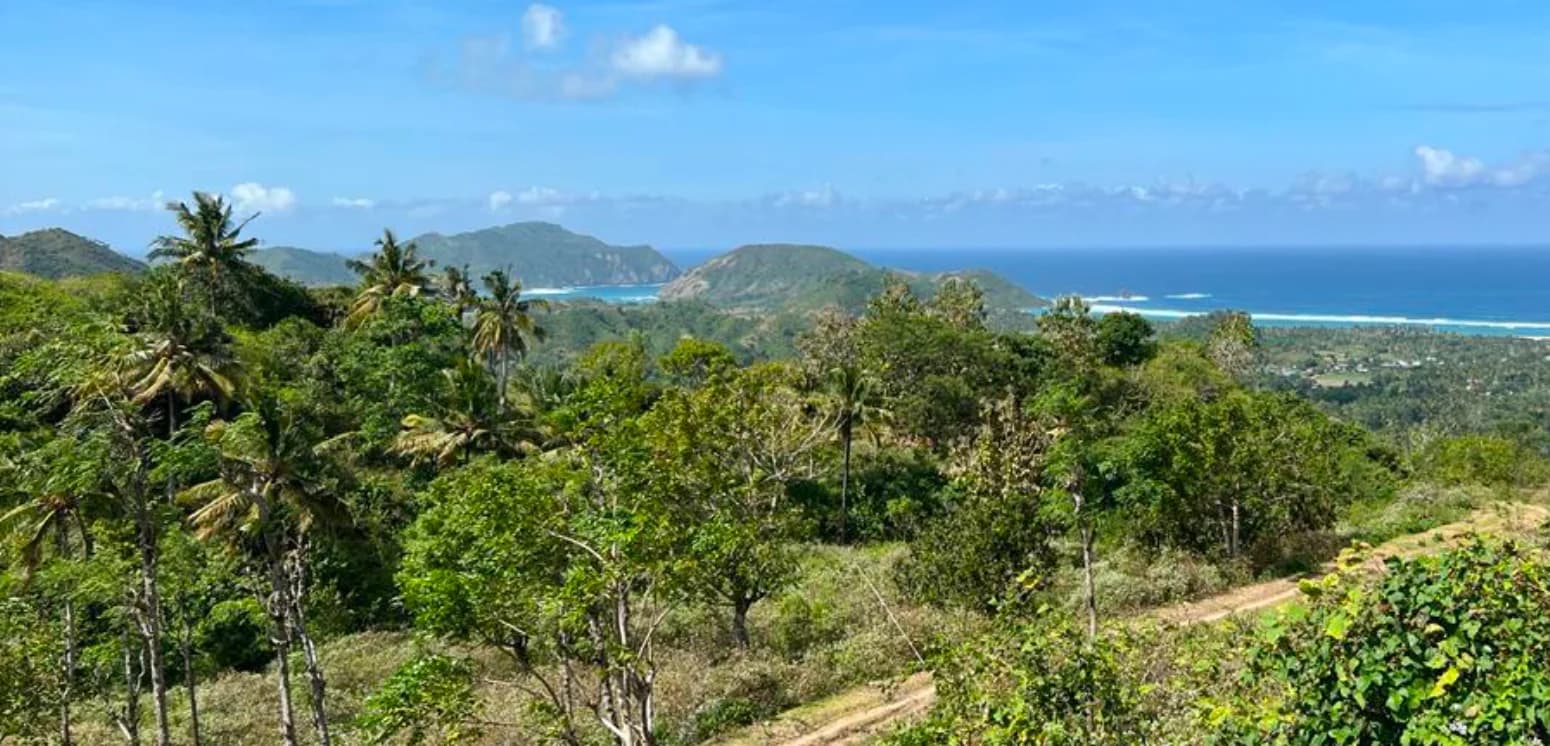 Lands for Sale in Tampah, South Lombok - 1400 - 1700 sqm