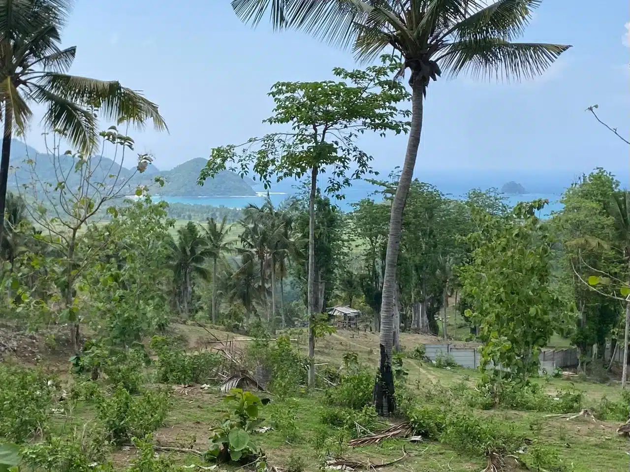 Nour Estate Listing