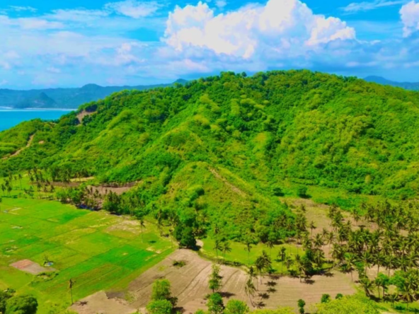 Mawi Hills beach view - Lombok Land for Sale