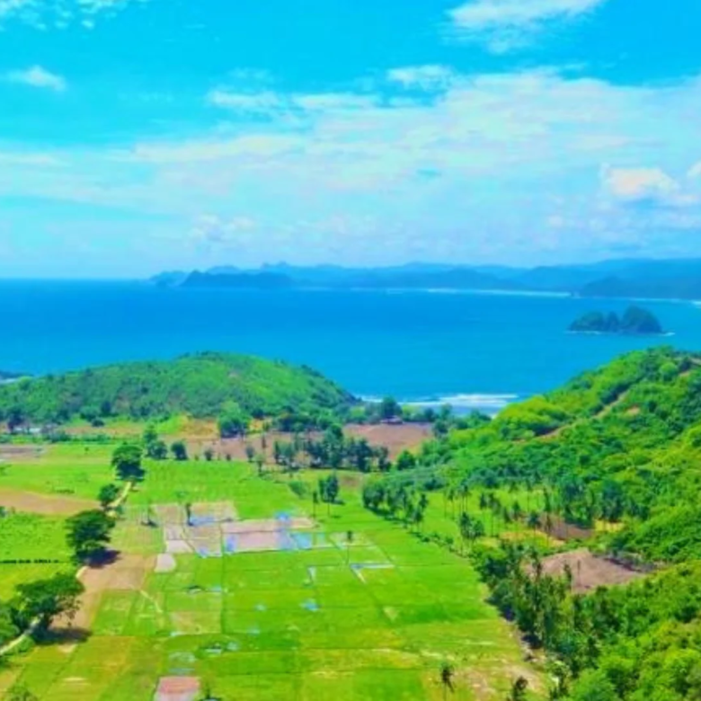 Pantai Mawi - Lombok Land for Sale - Drone view