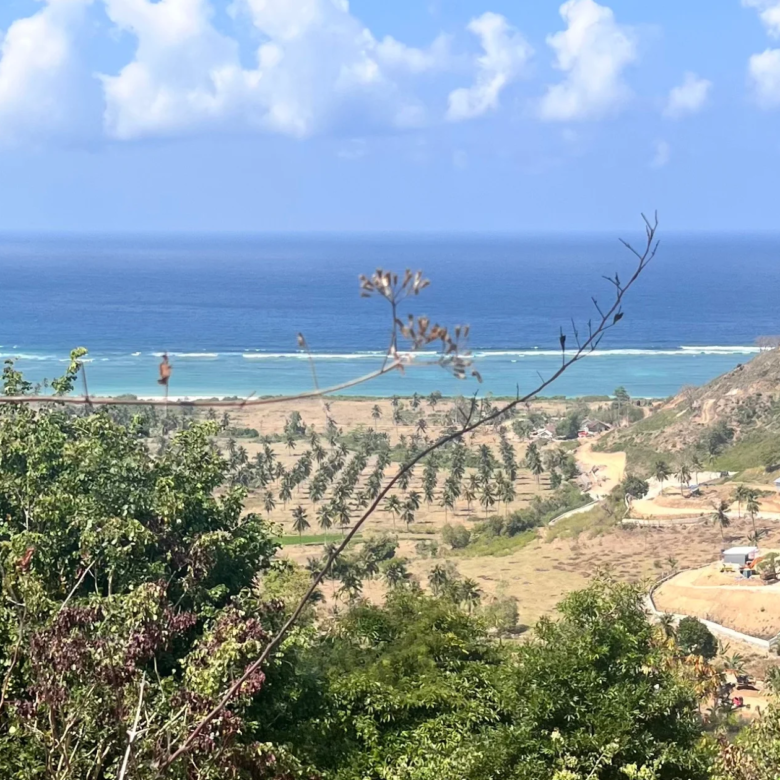 Lombok land for Sale - torok hills - sea views