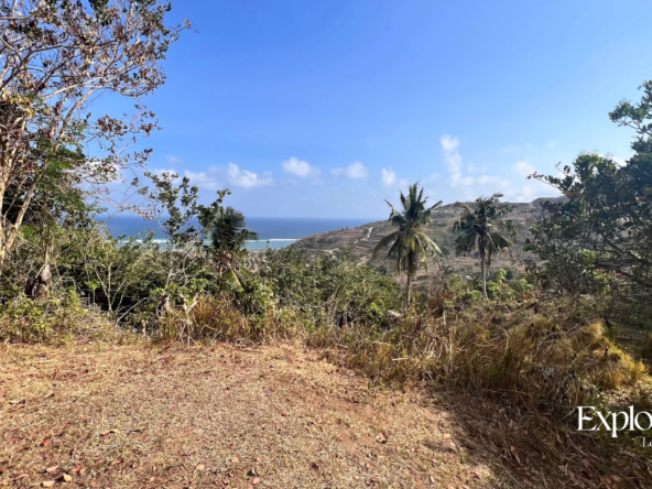 Views - Lombok land for Sale - torok hills