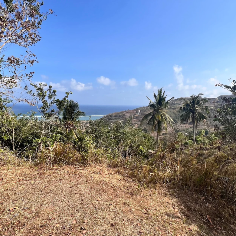 Views - Lombok land for Sale - torok hills