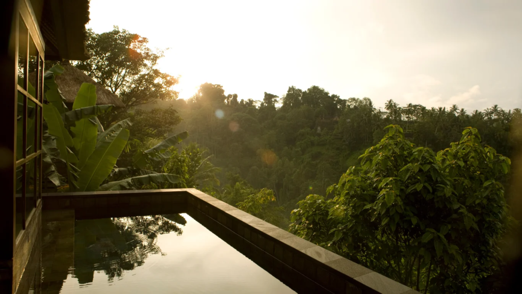 Sunrise on a pool surrounded by tropical plants in a villa in Lombok