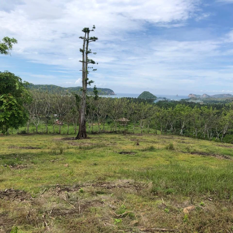 View from the land for sale in Bumbang