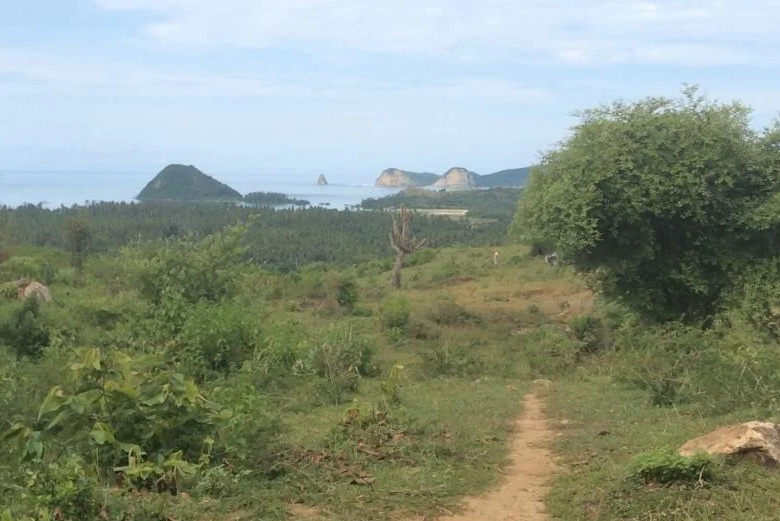 View from the land for sale in Bumbang