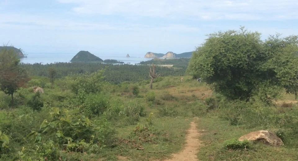 View from the land for sale in Bumbang