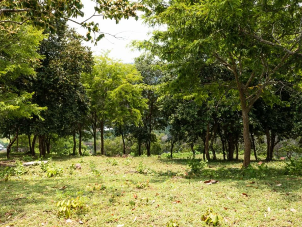 Land for sale in Kuta Lombok - hill side