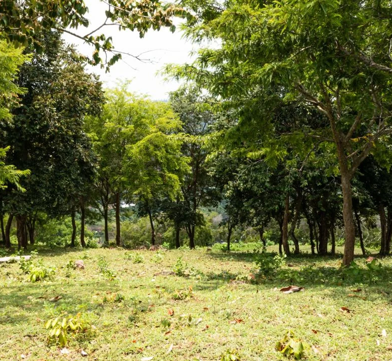 Land for sale in Kuta Lombok - hill side