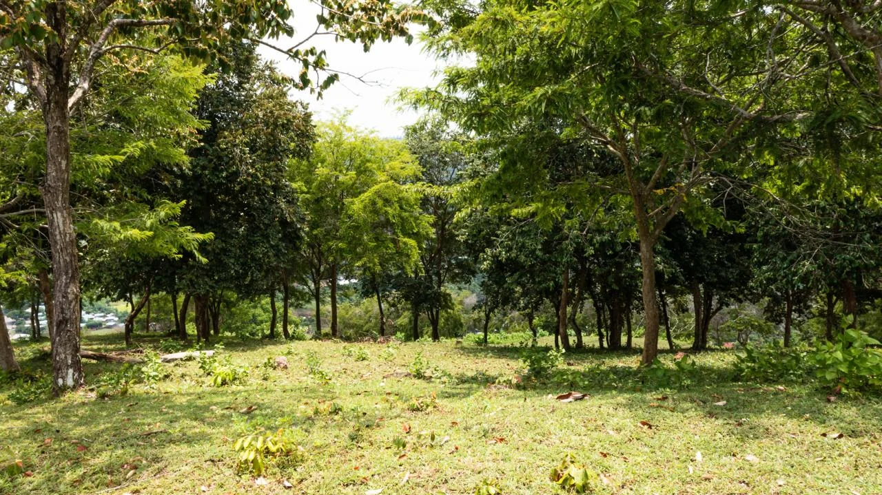 Land for sale in Kuta Lombok - hill side