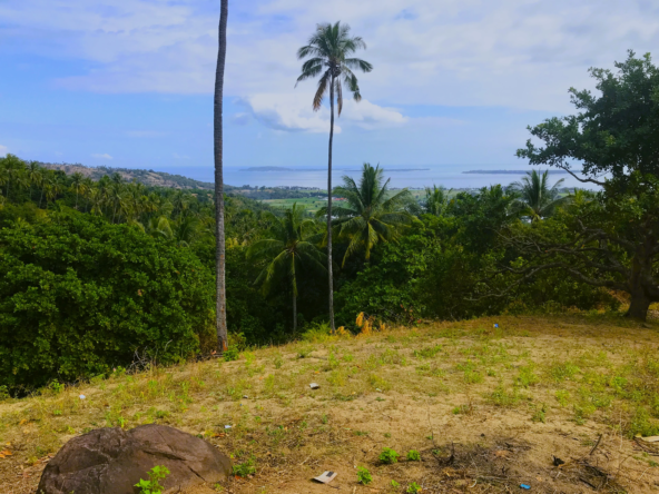 Ocean View Property in North Lombok