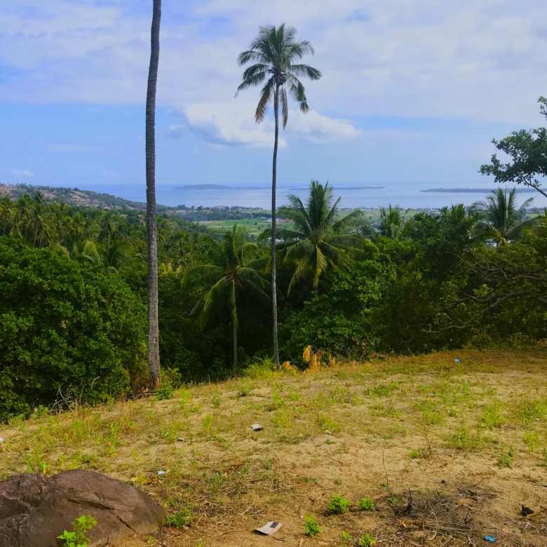 Ocean View Property in North Lombok