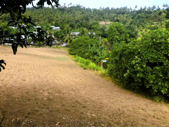 Ocean View Property in North Lombok