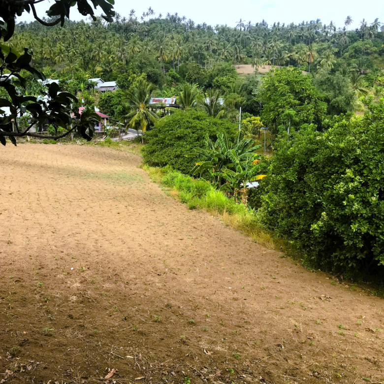 Ocean View Property in North Lombok