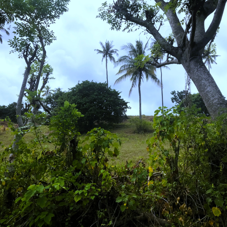 Ocean View Property in North Lombok