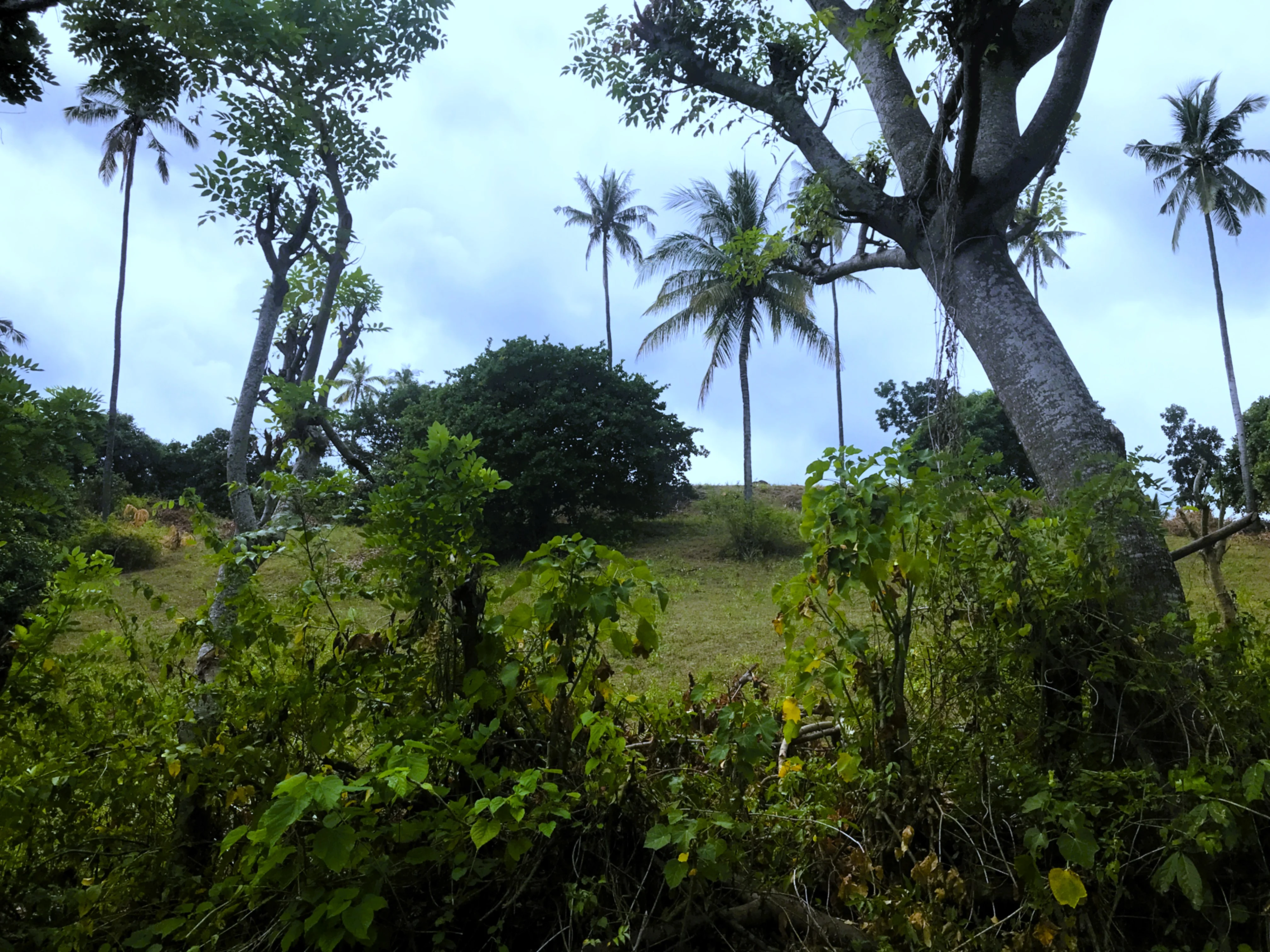 Ocean View Property in North Lombok