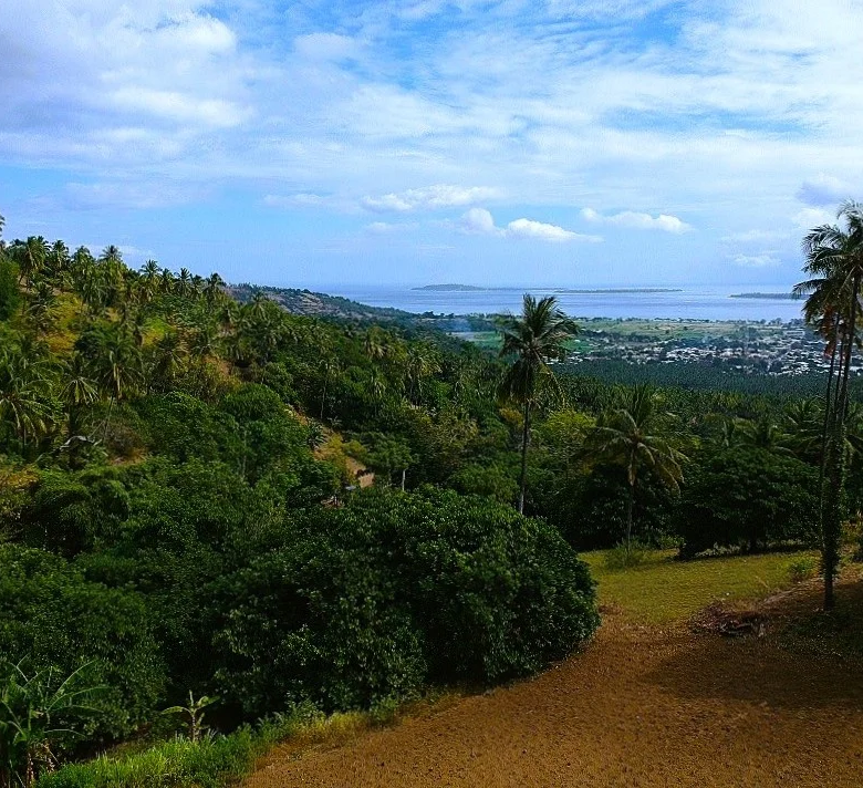 Ocean View Property in North Lombok