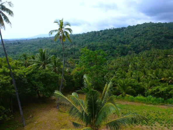 Ocean View Property in North Lombok