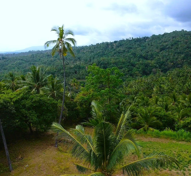 Ocean View Property in North Lombok