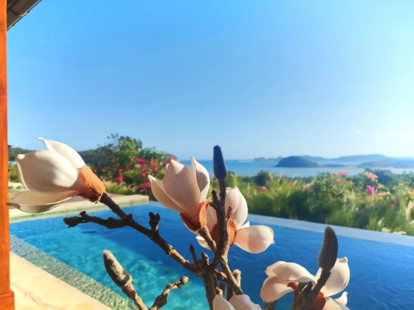 Lobster Bay Lombok Villas for Sale