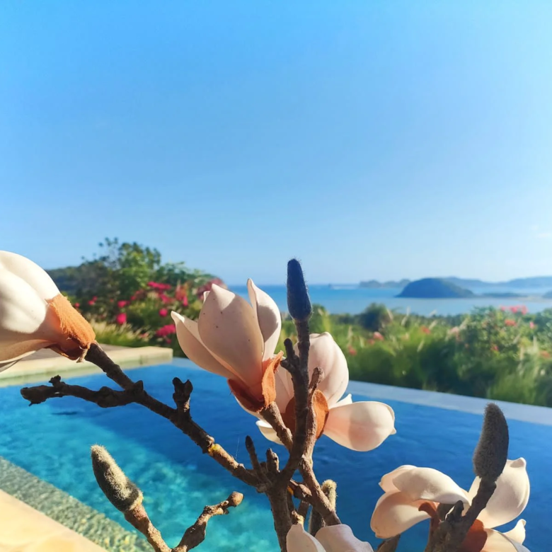 Lobster Bay Lombok Villas for Sale