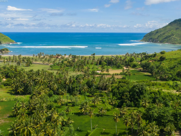 Land for Sale in Are Guling Lombok