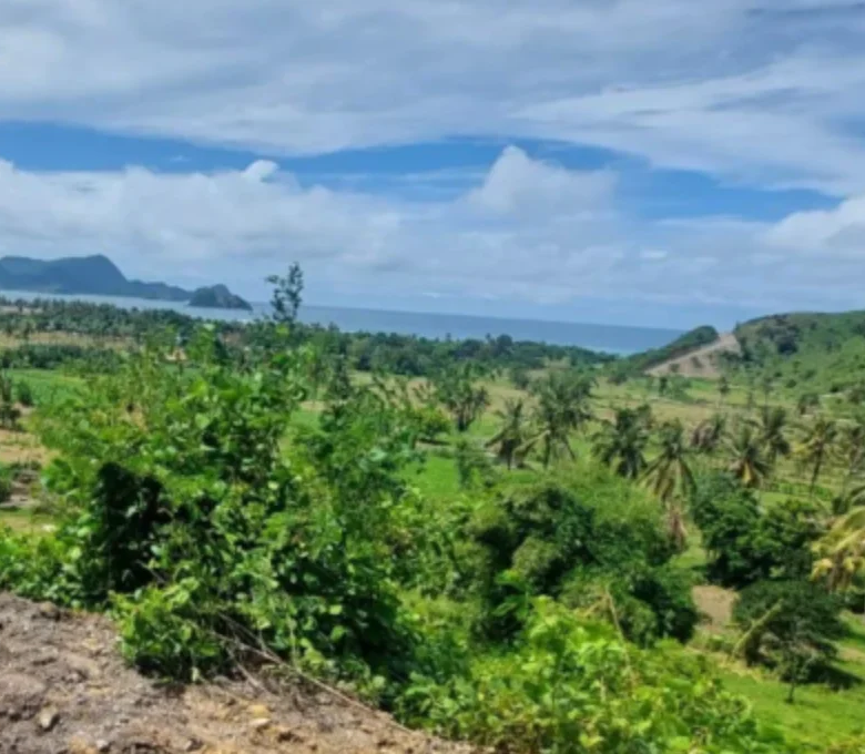 Land for sale in Tampah Lombok